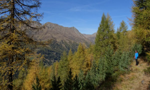 Sommerwandalm
