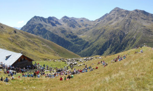 Leisacher Alm, beim Schafalmwandertag