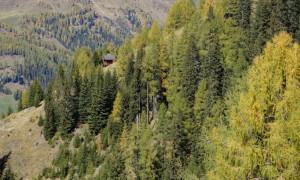 Strassalm im Winkeltal