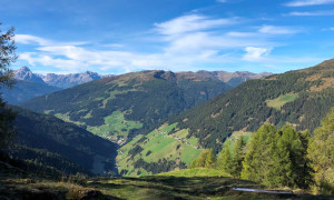 Enziangrantl
