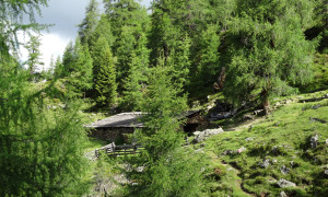 Sommerwandstall