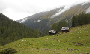 Arnalm