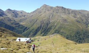 Leisacher Alm