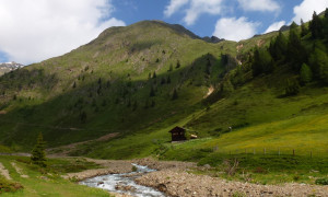 Reineralm