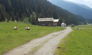 Unterstalleralm