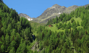 Unterstalleralm, Blick zur Riepenalm