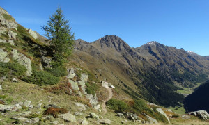 Reschtlangartl