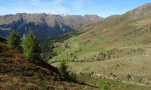 Steiges Heache