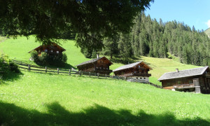 Alfenalm