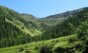 Blick ins Marchental