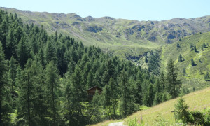 Ruschletalm