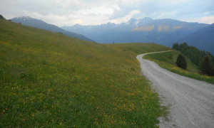 Thurntaler Wiesen