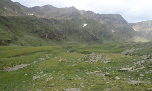 Schrentebachboden