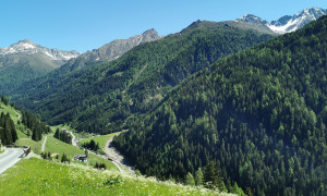 Abstieg ins Winkeltal vom Versellerberg