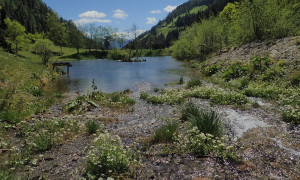 bei der Reiterstube im Winkeltal