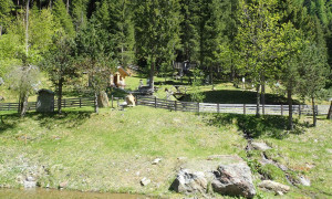 Alm Kneipp im Winkeltal