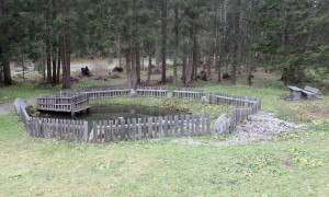 Uferbegleitweg ins Unterfelden Fischteich