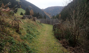Uferbegegleitweg Unterfelden